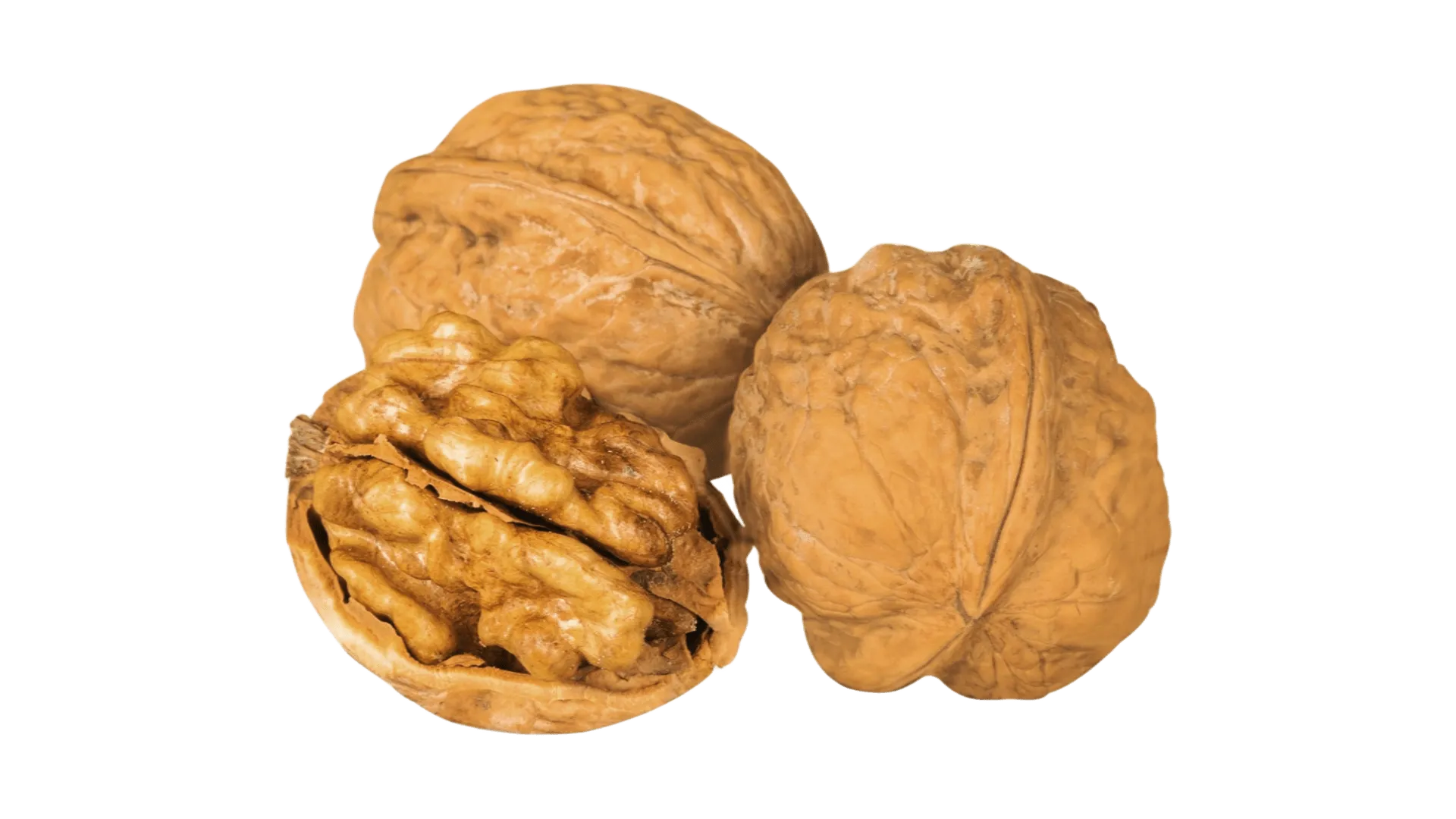 WalnutMulti -Premium Walnut Products for Every Need From Nutritious Kernels to Eco-Friendly Shell Solutions 7